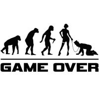 Game Over 03 25x12 cm